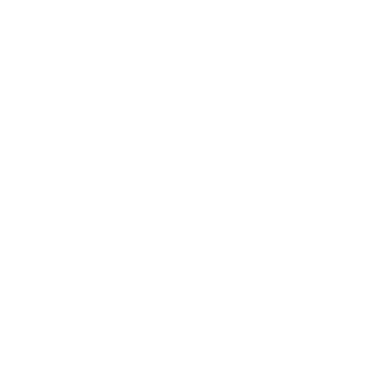 Riley AI Systems